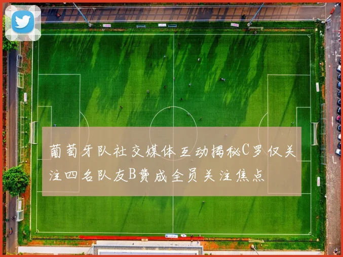 葡萄牙队社交媒体互动揭秘C罗仅关注四名队友B费成全员关注焦点